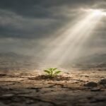 Imagen simbólica de una pequeña planta brotando en tierra seca bajo un rayo de luz, representando la fidelidad de Dios cuando todo parece perdido.